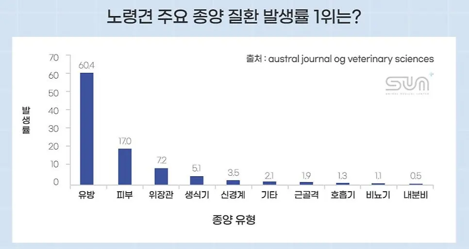 12살 강아지 유선종양 전체 적출 수술, 중성화 수술, 스케일링했어요