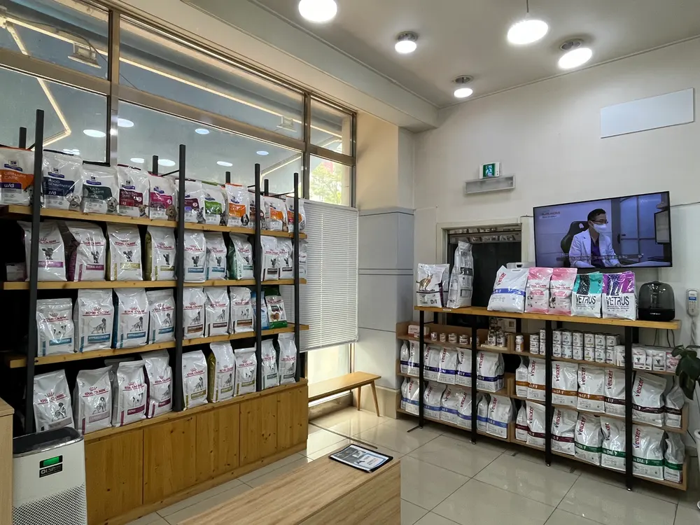 12살 강아지 유선 종양 전체 적출,중성화 수술,스케일링 했어요