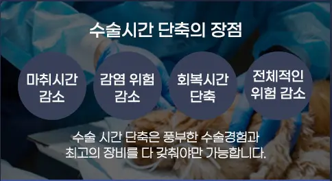 12살 강아지 유선종양 전체 적출, 중성화 수술, 비장 적출 수술했어요.