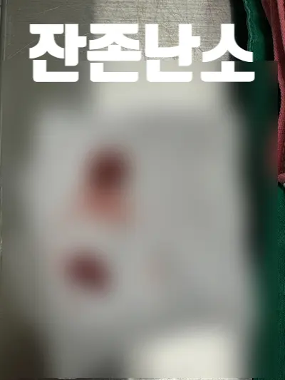 8살 강아지 잔존 난소 수술, 유선종양 수술했어요