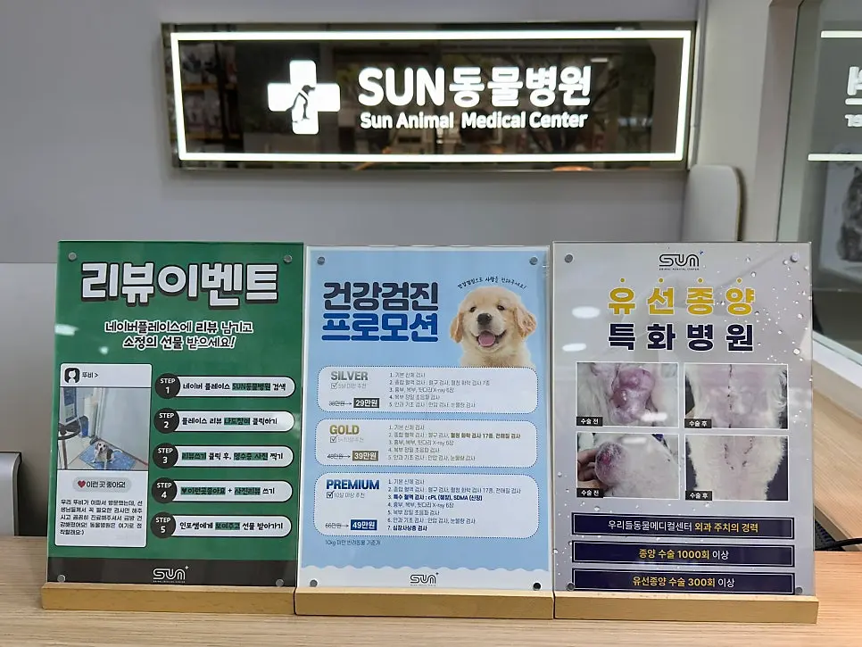 13살 강아지 유선종양 전체 적출 수술, 피부 종괴 제거 수술, 외음부 종괴 제거 수술했어요