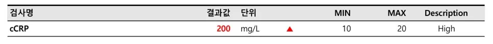 15살 봄이가 강아지유선종양수술을 받았어요