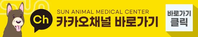 강아지유선종양수술 전적출로 재발까지 예방하는