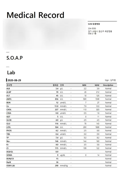 10살 강아지 유선종양 수술 이야기