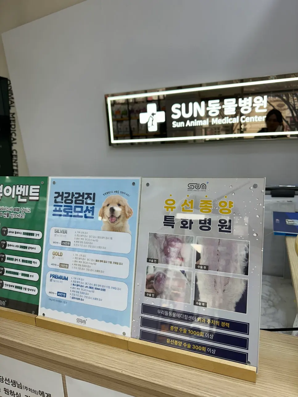 12살 강아지 유선종양 전체 적출 수술했어요