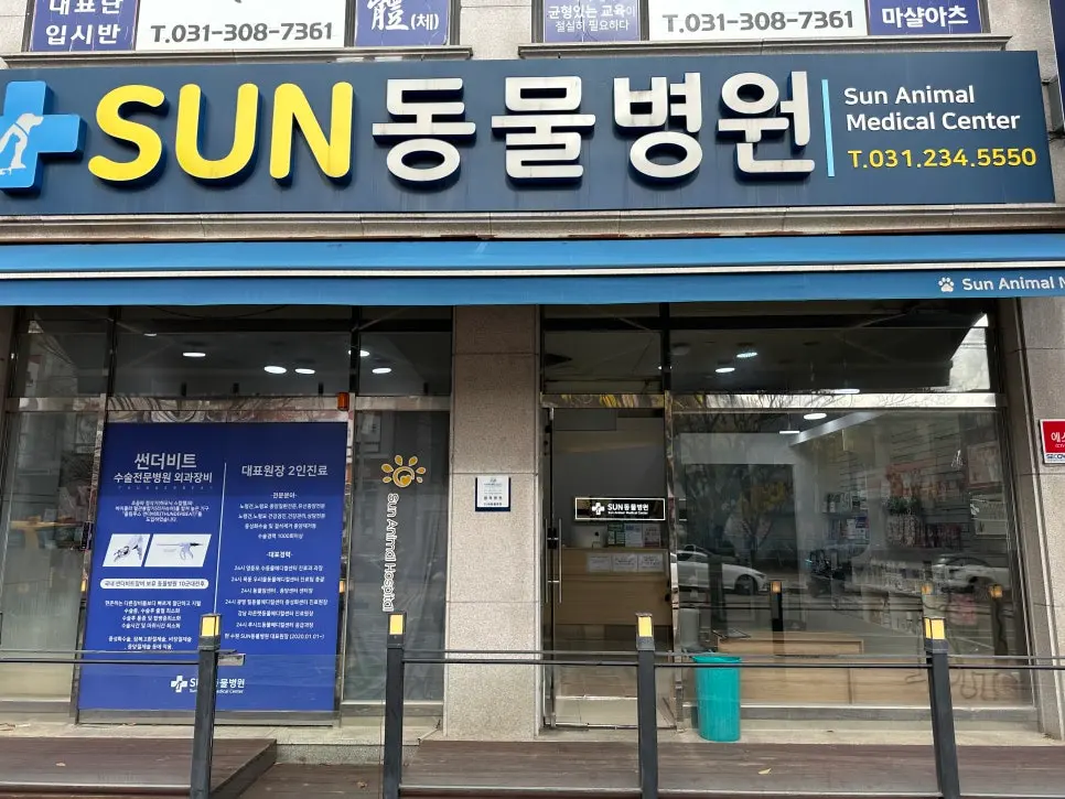 12살 강아지 유선종양 전적출 수술했어요.