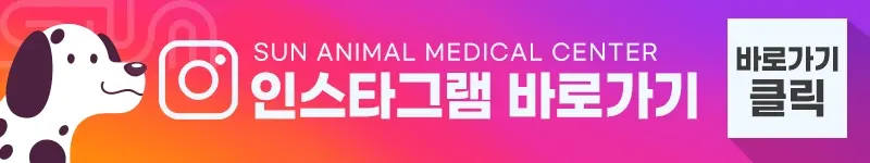 강아지유선종양증상 배에 혹이 생겼다면?