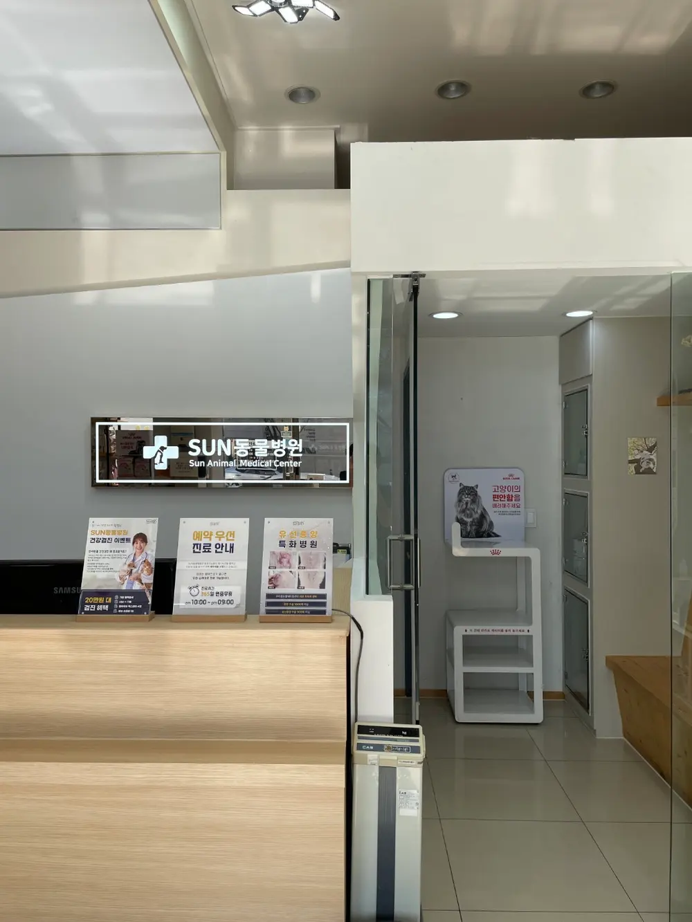 강아지 유선종양 수술비용 및 수술 방법은?