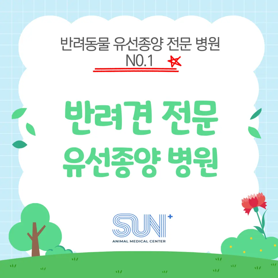 강아지 유선종양 전문병원 SUN동물병원