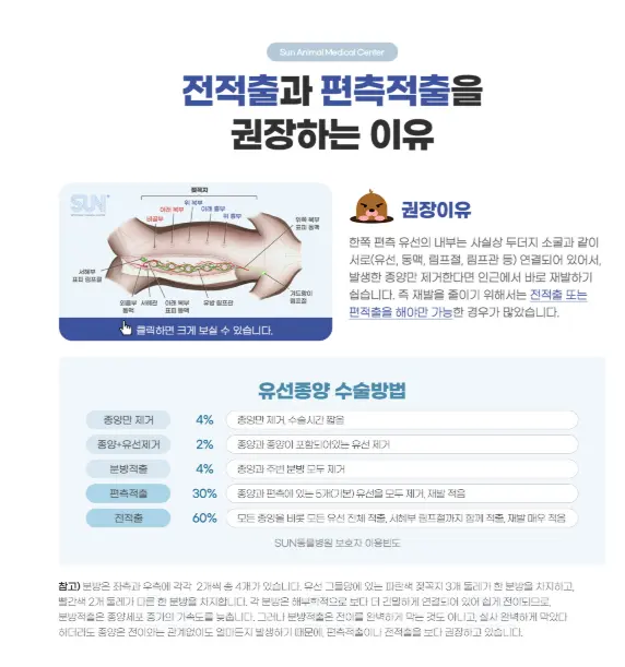 강아지 유선종양 병원 찾으신다면 꼭 읽어보고 가세요