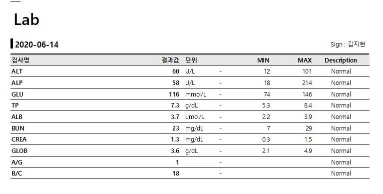 5살 강아지 중성화 수술/자궁수종/성대 수술/스케일링