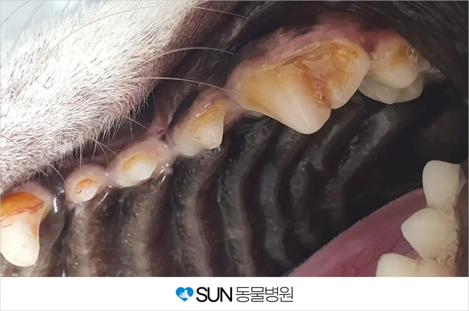 스케일링 전