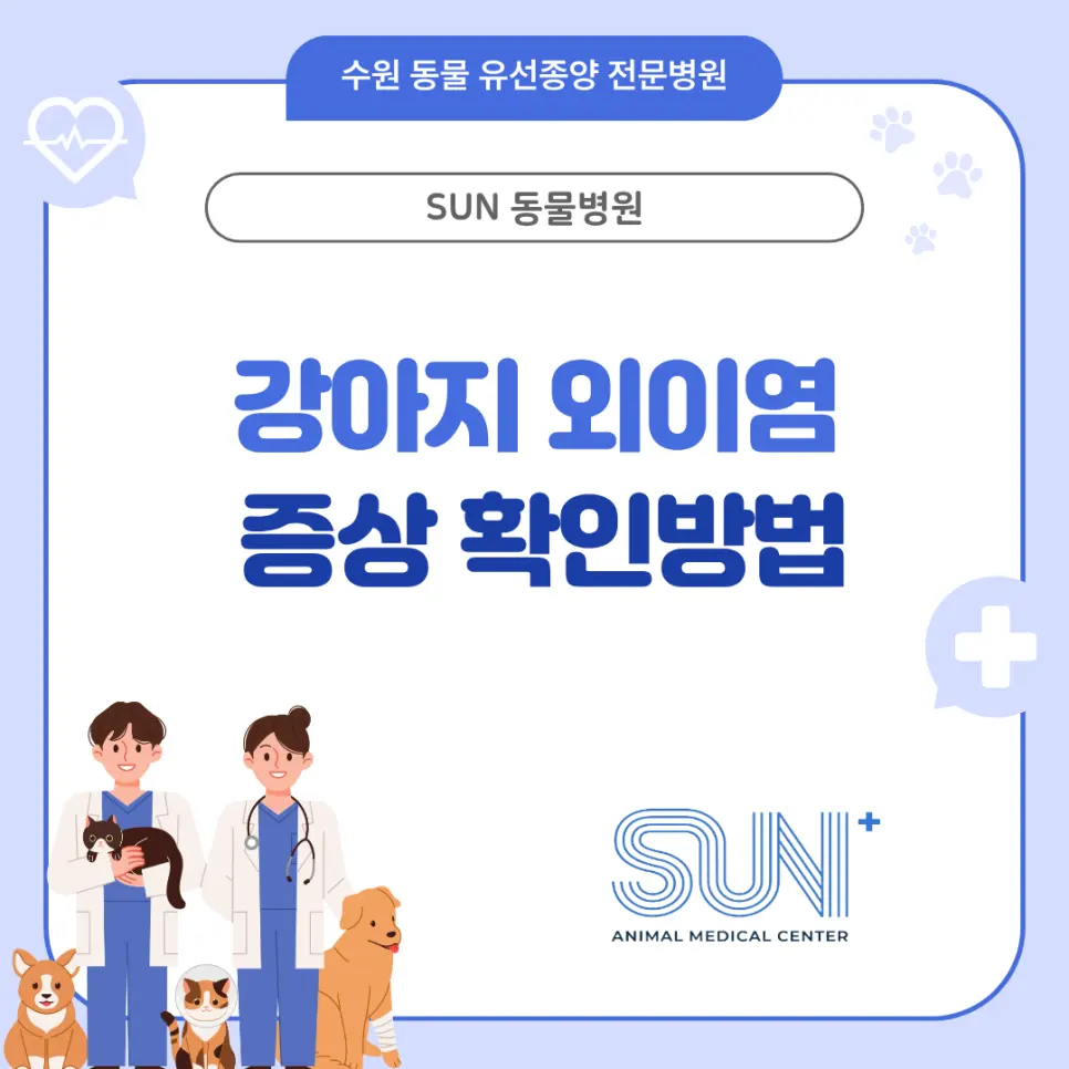 강아지 외이염 증상, 초기 신호를 놓치지 않는 방법