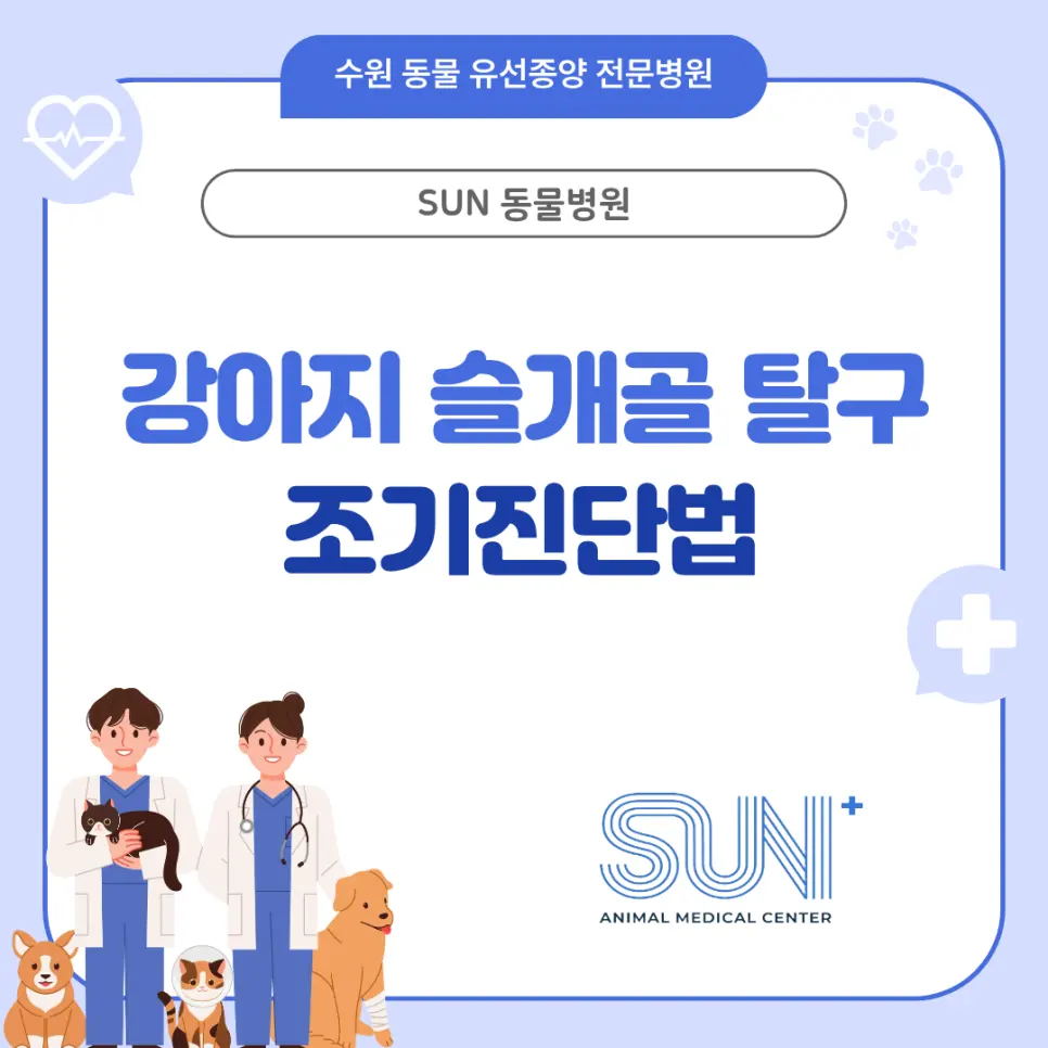 강아지 슬개골 탈구 진단법 조기 확인이 중요한 이유