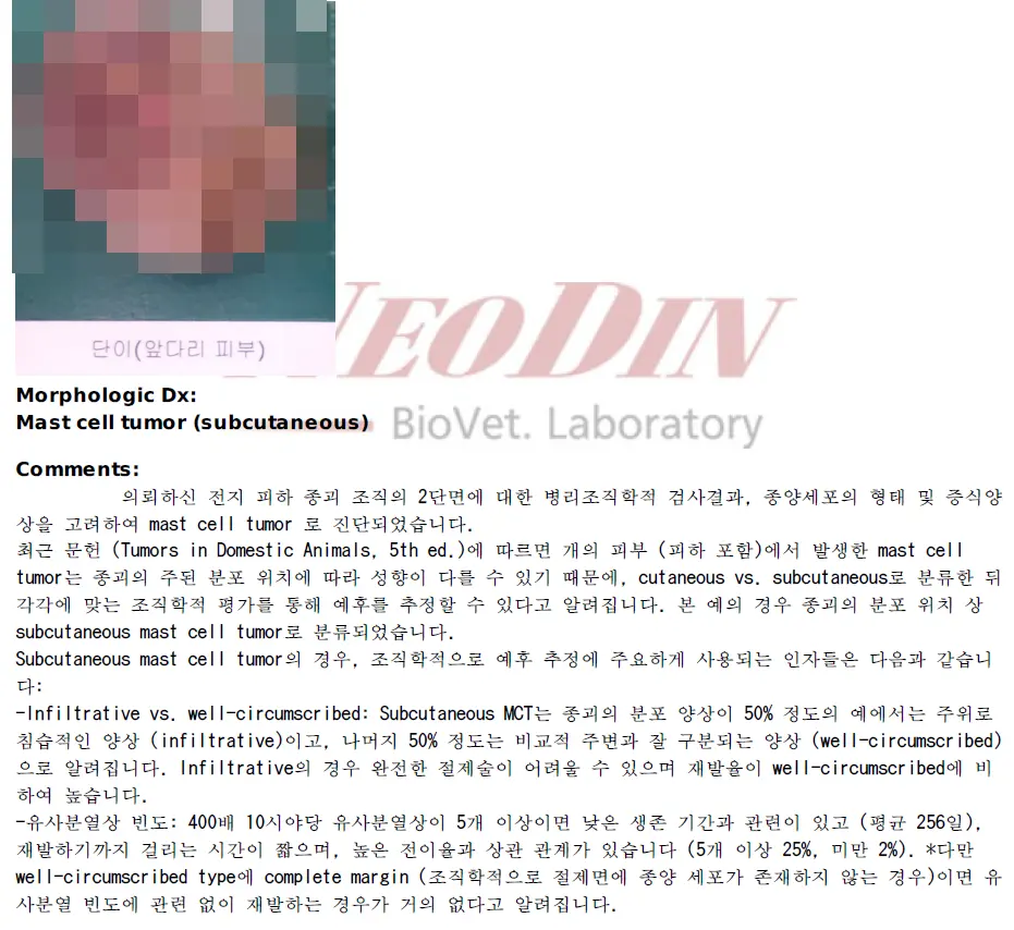 단이 조직 검사 결과