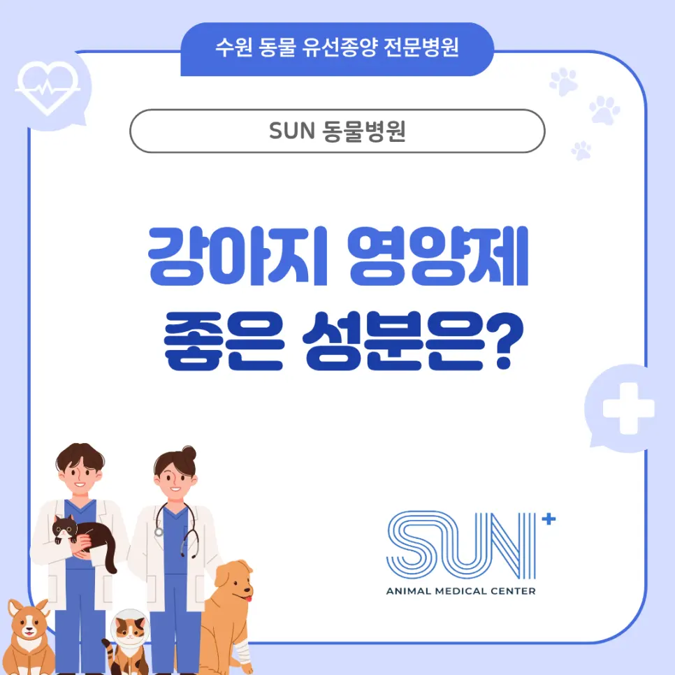 강아지 영양제 좋은 성분 이 기준으로 선택하세요