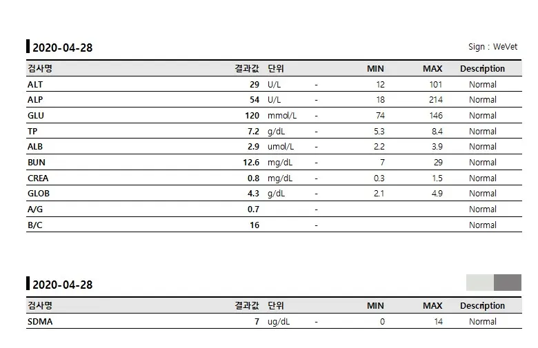 10살 강아지 눈 밑에 구멍이 났어요 ( 치근 농양 )