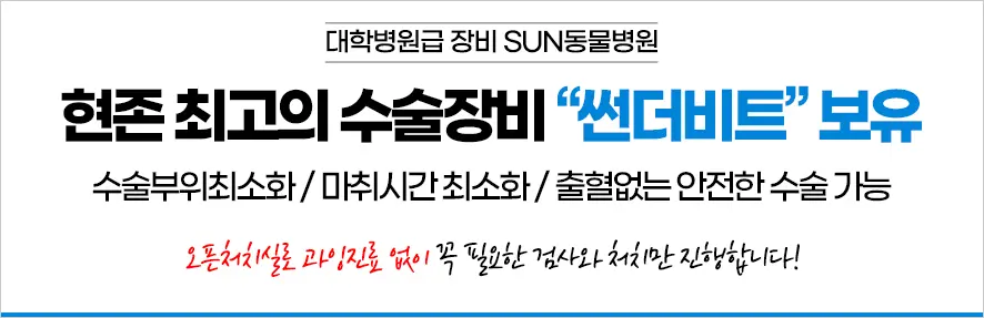 10살 강아지 눈 밑에 구멍이 났어요 ( 치근 농양 )