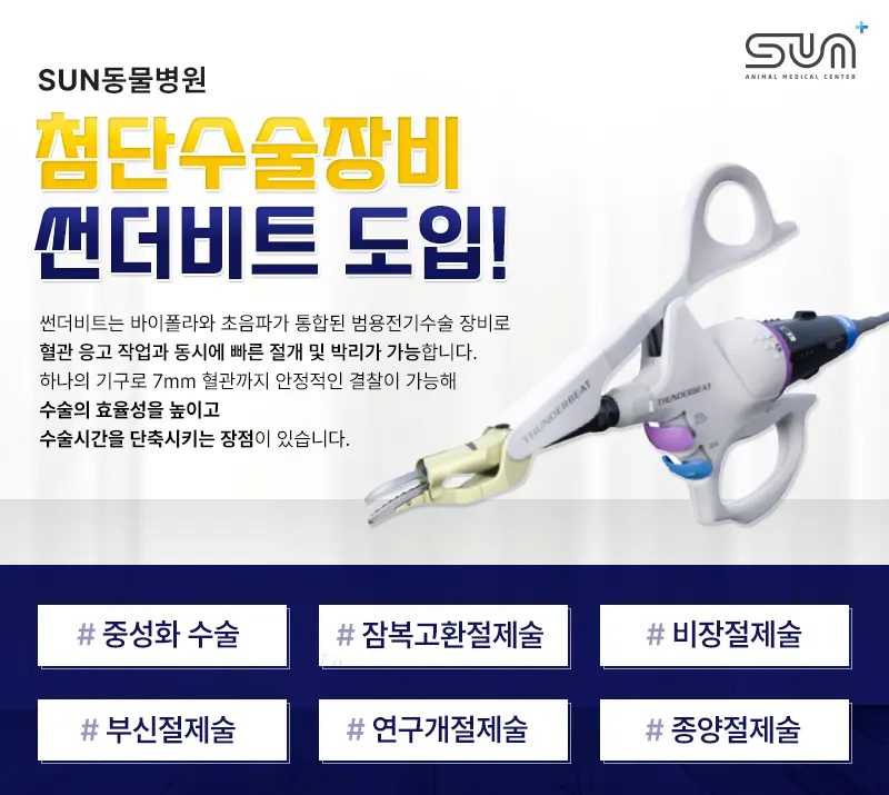강아지성대수술 (비절개 목소리 줄임 수술) 후기