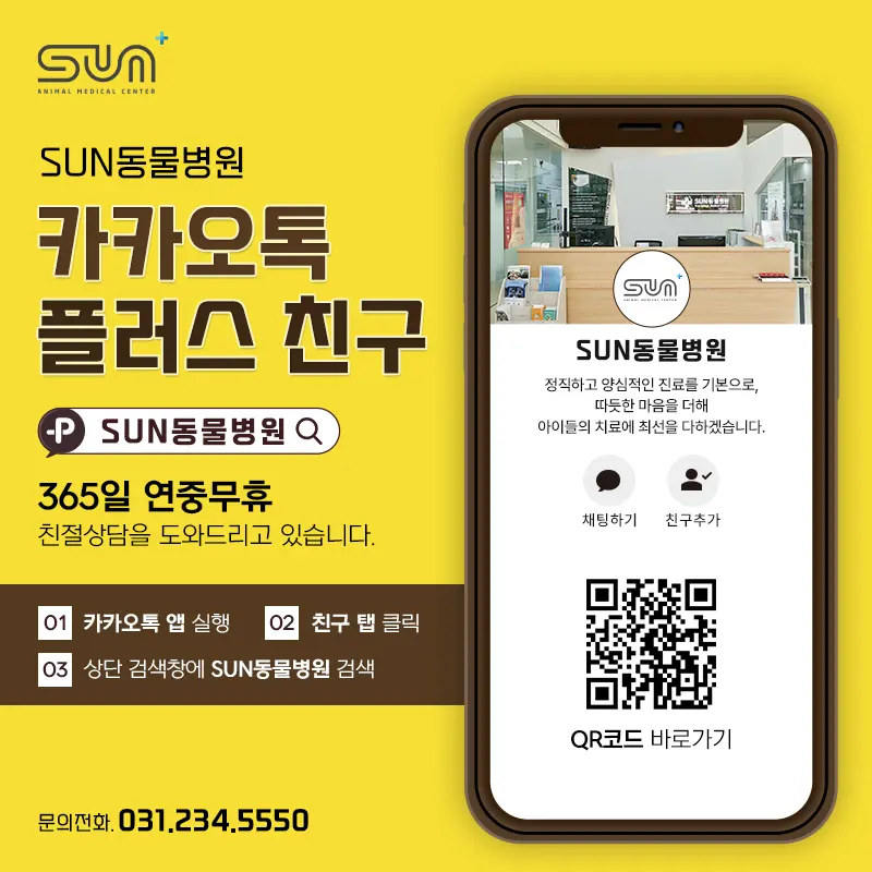 곡선동동물병원, 여아 고양이 중성화 최소절개 수술 후기