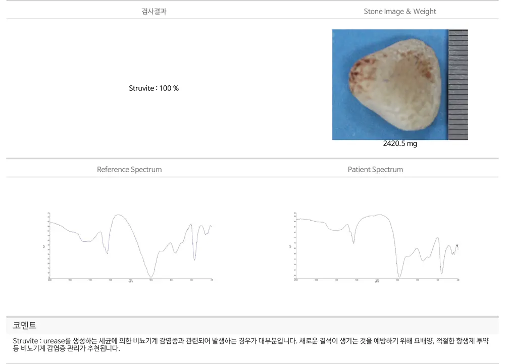 소변을 자주 보고 혈뇨까지 보이는 강아지, 군포동물병원