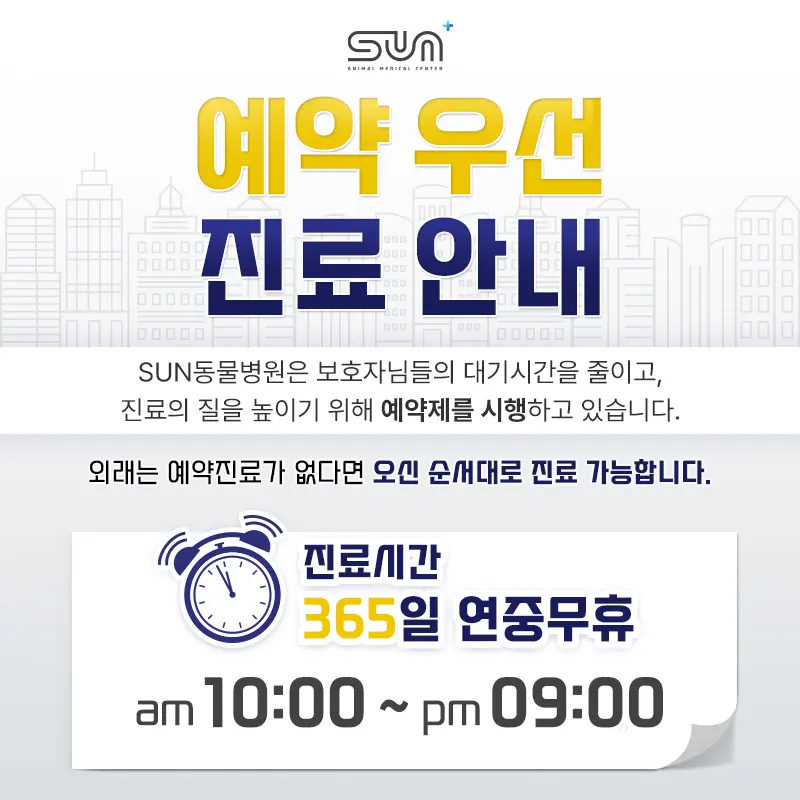 소변을 자주 보고 혈뇨까지 보이는 강아지, 군포동물병원