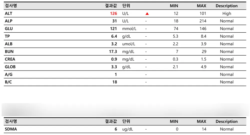 소변을 자주 보고 혈뇨까지 보이는 강아지, 군포동물병원