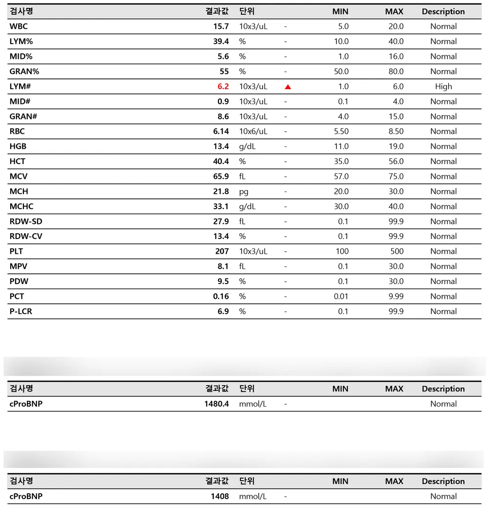 소변을 자주 보고 혈뇨까지 보이는 강아지, 군포동물병원