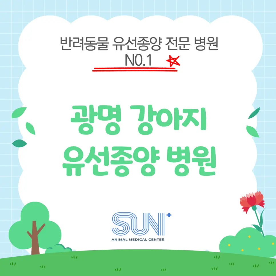 광명 강아지 유선종양 보호자가 알아야하는 기준