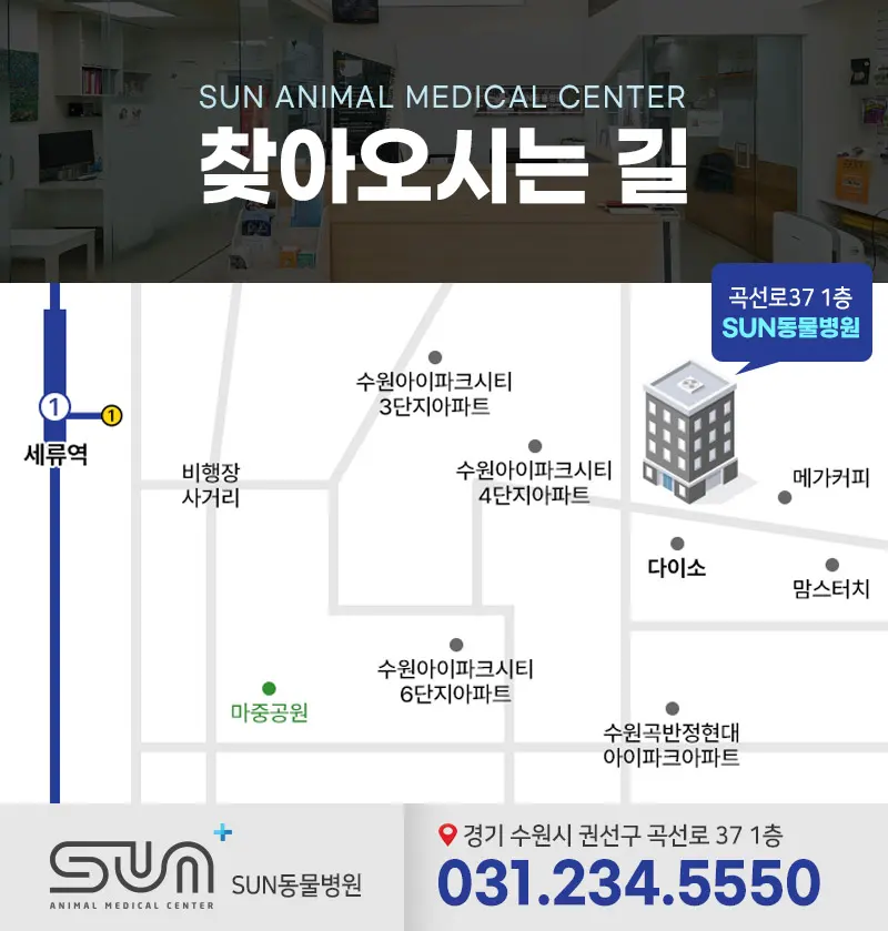 권선구동물병원 고양이 중성화수술 잘하는 곳