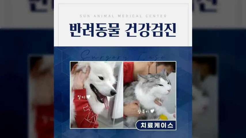 유튜브 스타🌟 밀키와 광복이 건강검진 후기, 권선동동물병원 영상