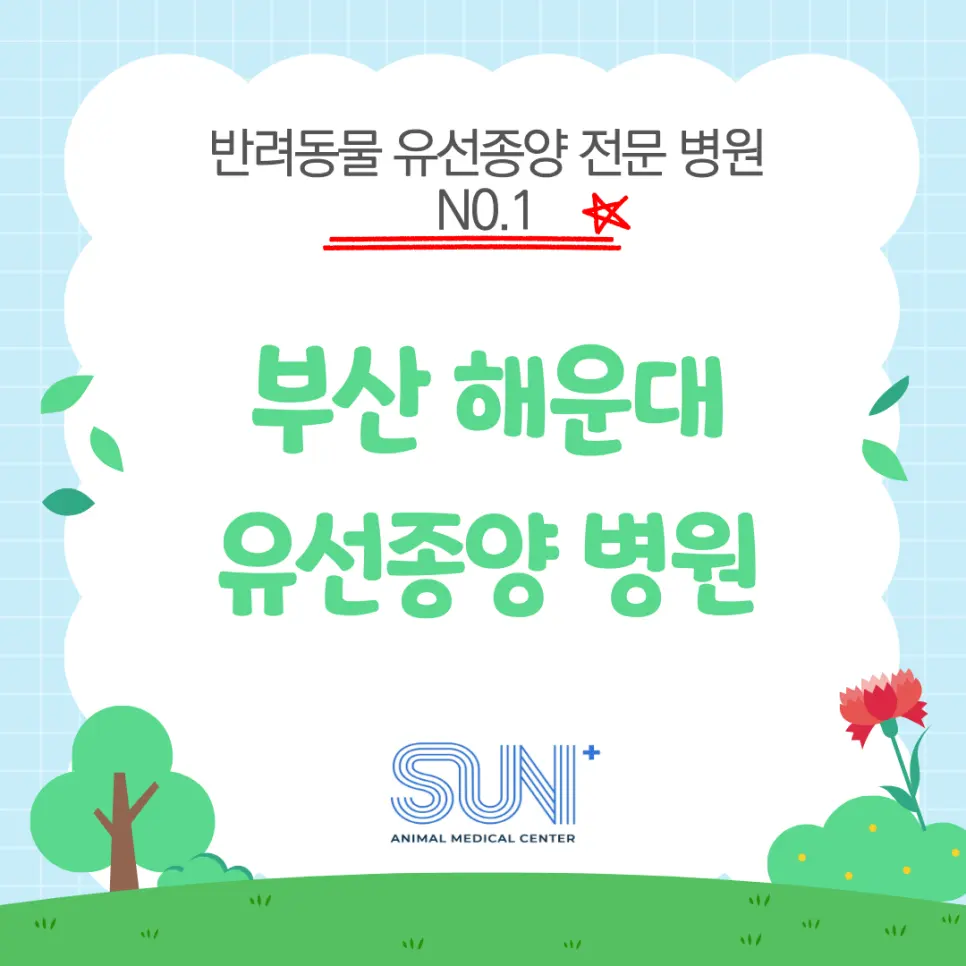 부산 해운대 강아지 유선종양 믿고 맡길 수 있는 곳