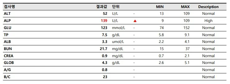 장안구 동물병원 고양이중성화수술