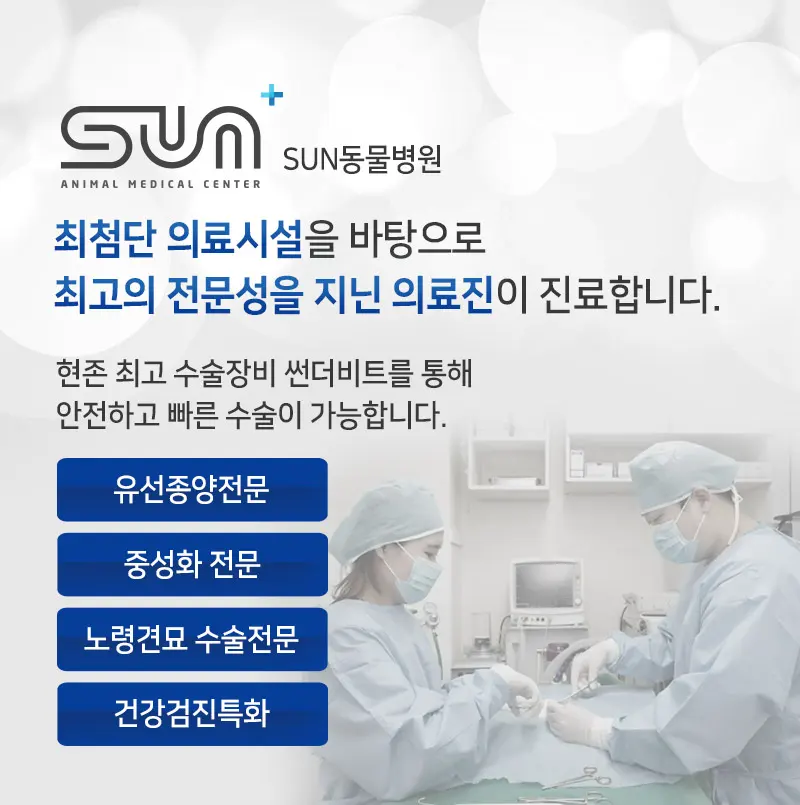 장안구동물병원 강아지 유치 발치부터 치석 제거까지!