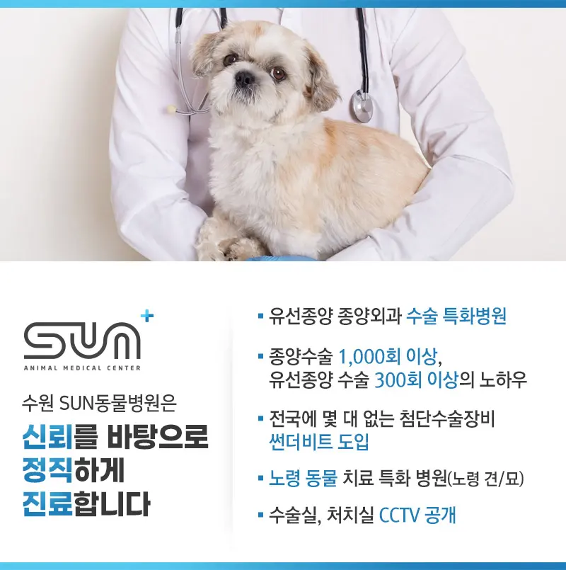 장안구동물병원 강아지 유치 발치부터 치석 제거까지!