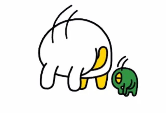 말티즈 잠복고환 수술 후기