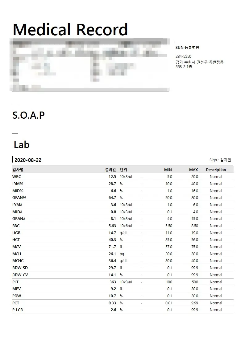 수술전 검사지