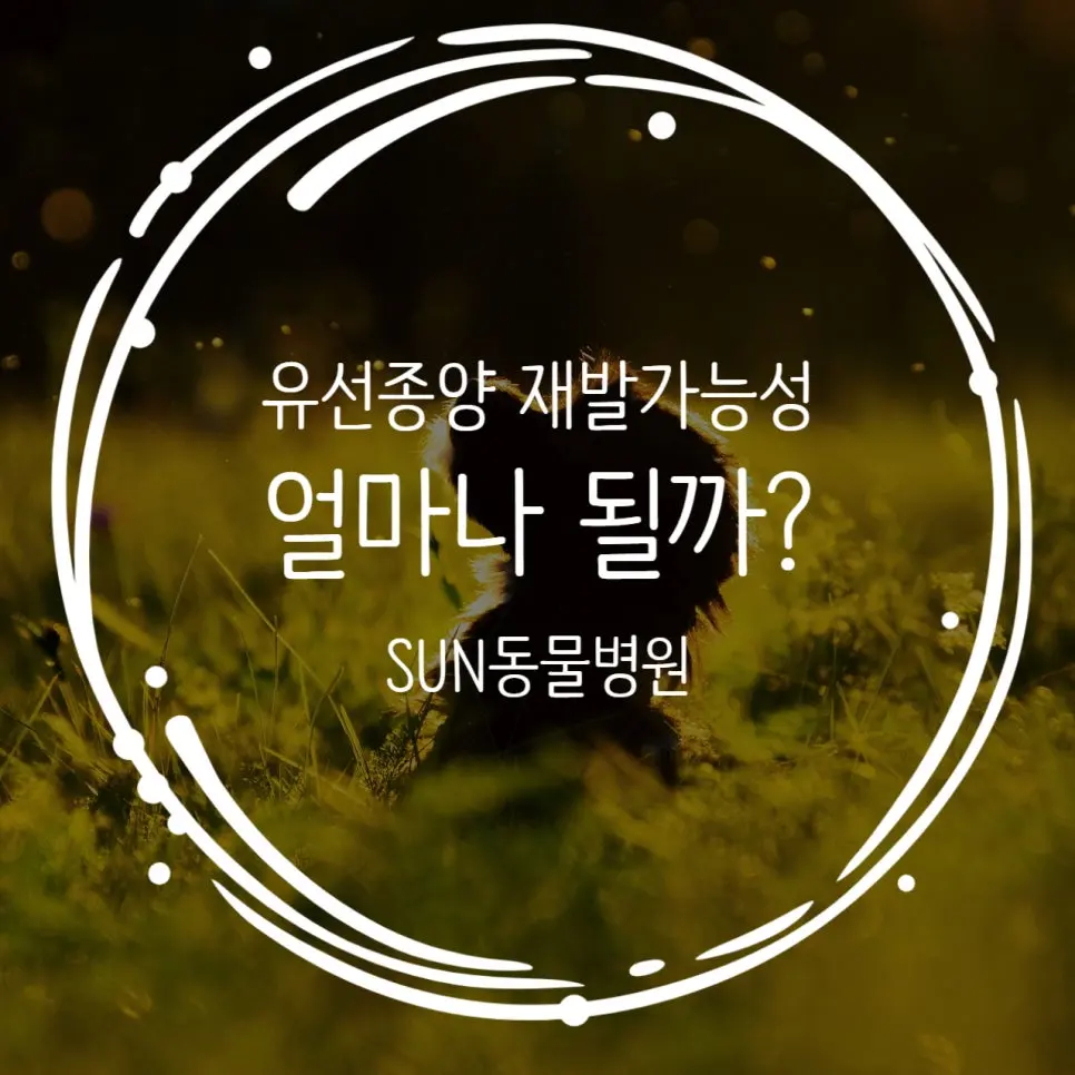 유선종양 재발 가능성 얼마나 될까?