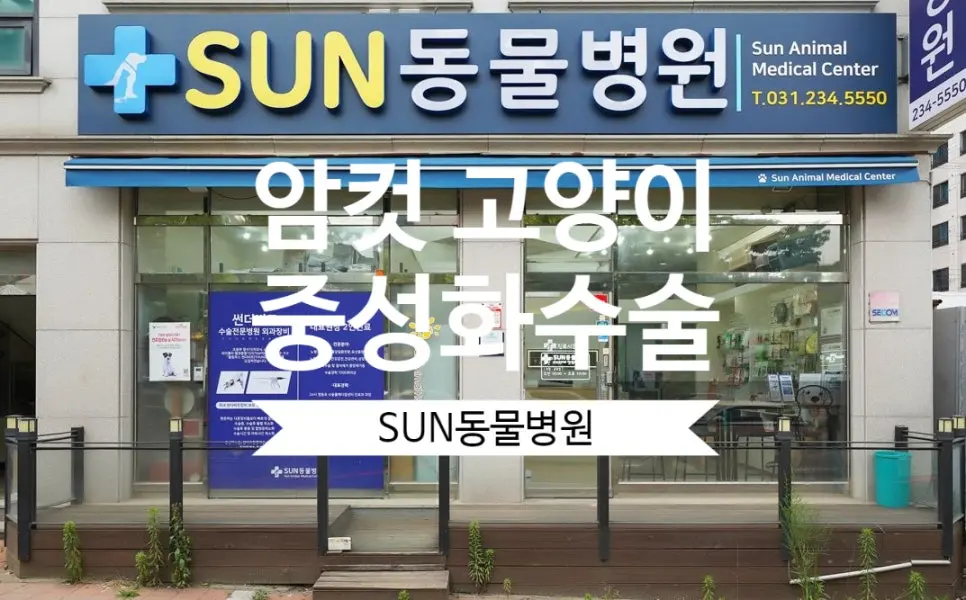 망포 동물병원 고양이 중성화수술 후기