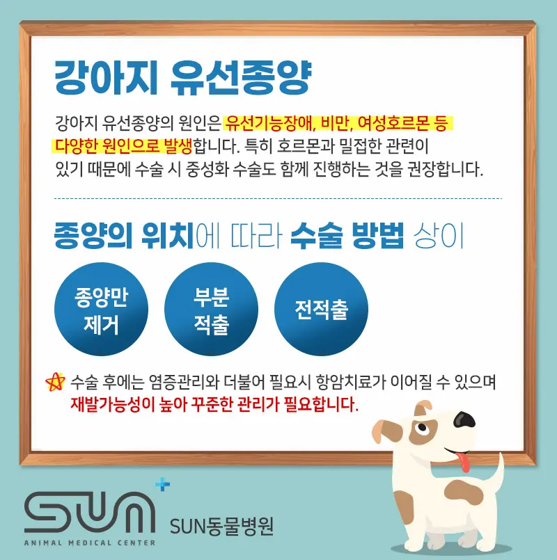 수원 망포 동물병원 중성화수술 발정 스트레스 방지를 위해