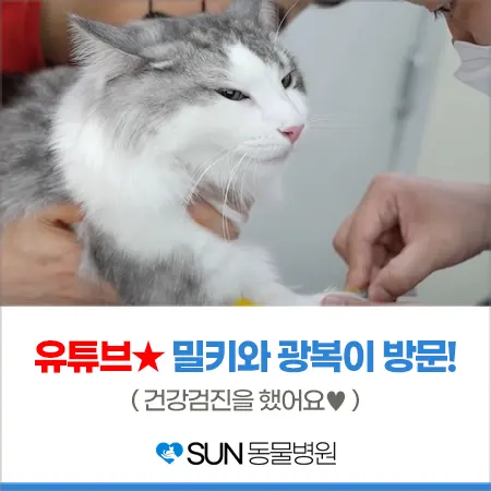 유튜브★ 밀키복이 강아지, 고양이 건강검진 '◡'