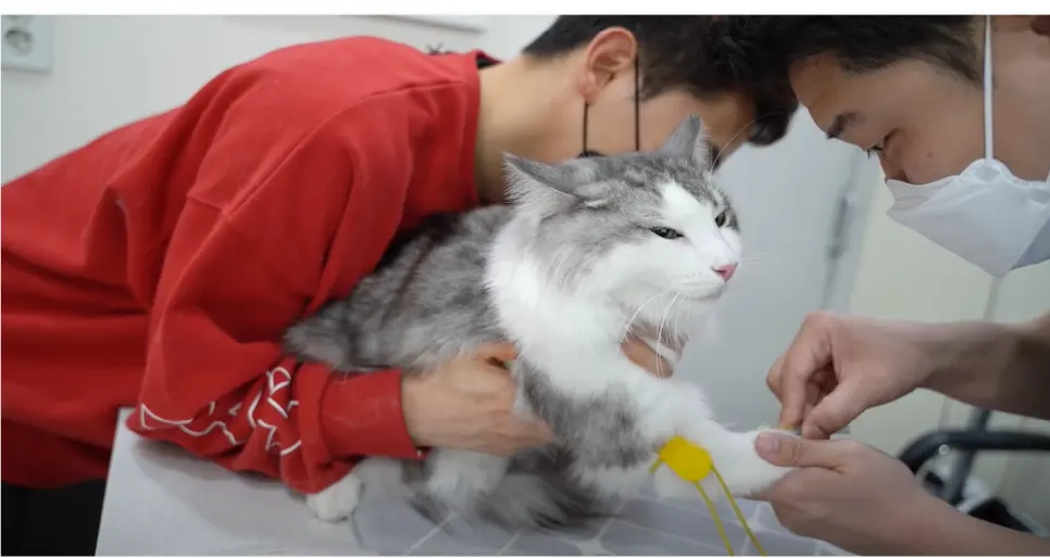유튜브★ 밀키복이 강아지, 고양이 건강검진 '◡'