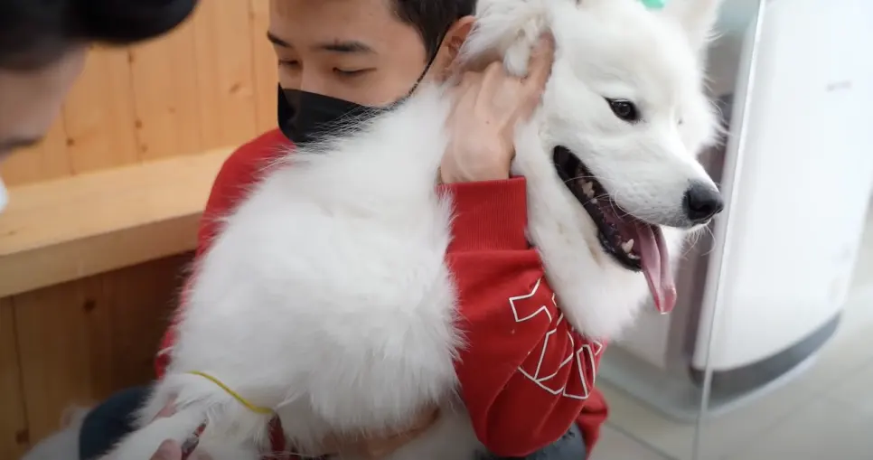 유튜브★ 밀키복이 강아지, 고양이 건강검진 '◡'