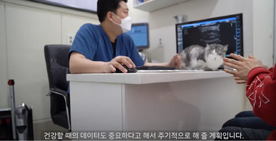 사진출처 : 밀키와복이 유튜브