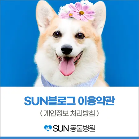 선(SUN)동물병원 블로그 이용약관