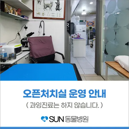 sun동물병원 오픈 처치실 운영 안내