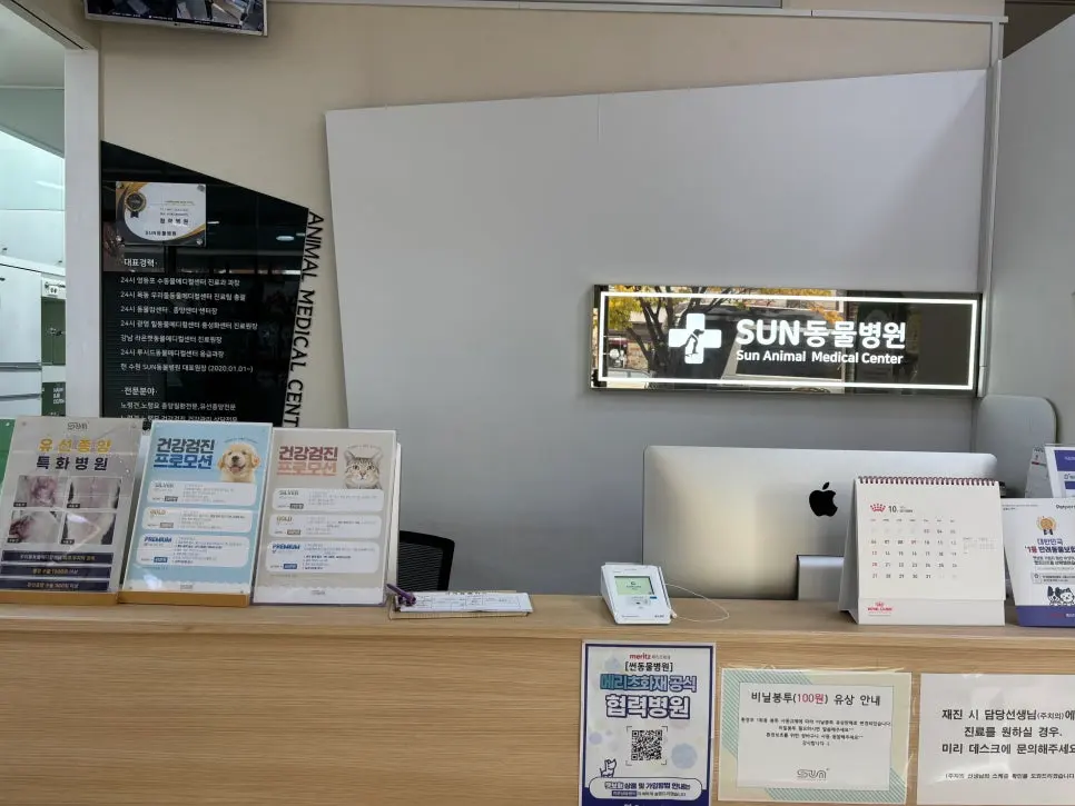 판교 강아지 유선종양 수술 선택하기 전 팁