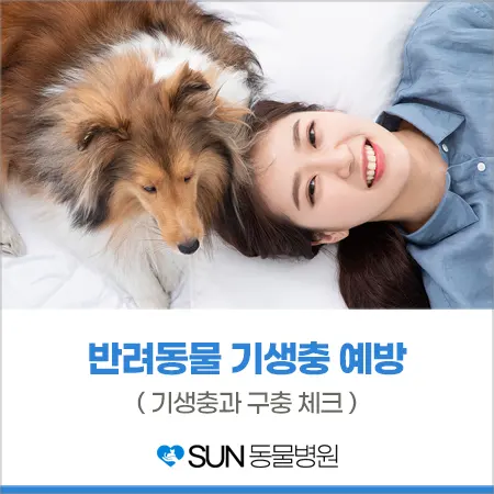 반려동물 기생충과 구충 예방 중요해요!