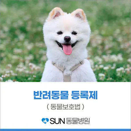 반려동물 등록제 꼭 지켜주세요!