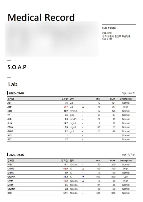 4개월 강아지 포메라니안 중성화 수술